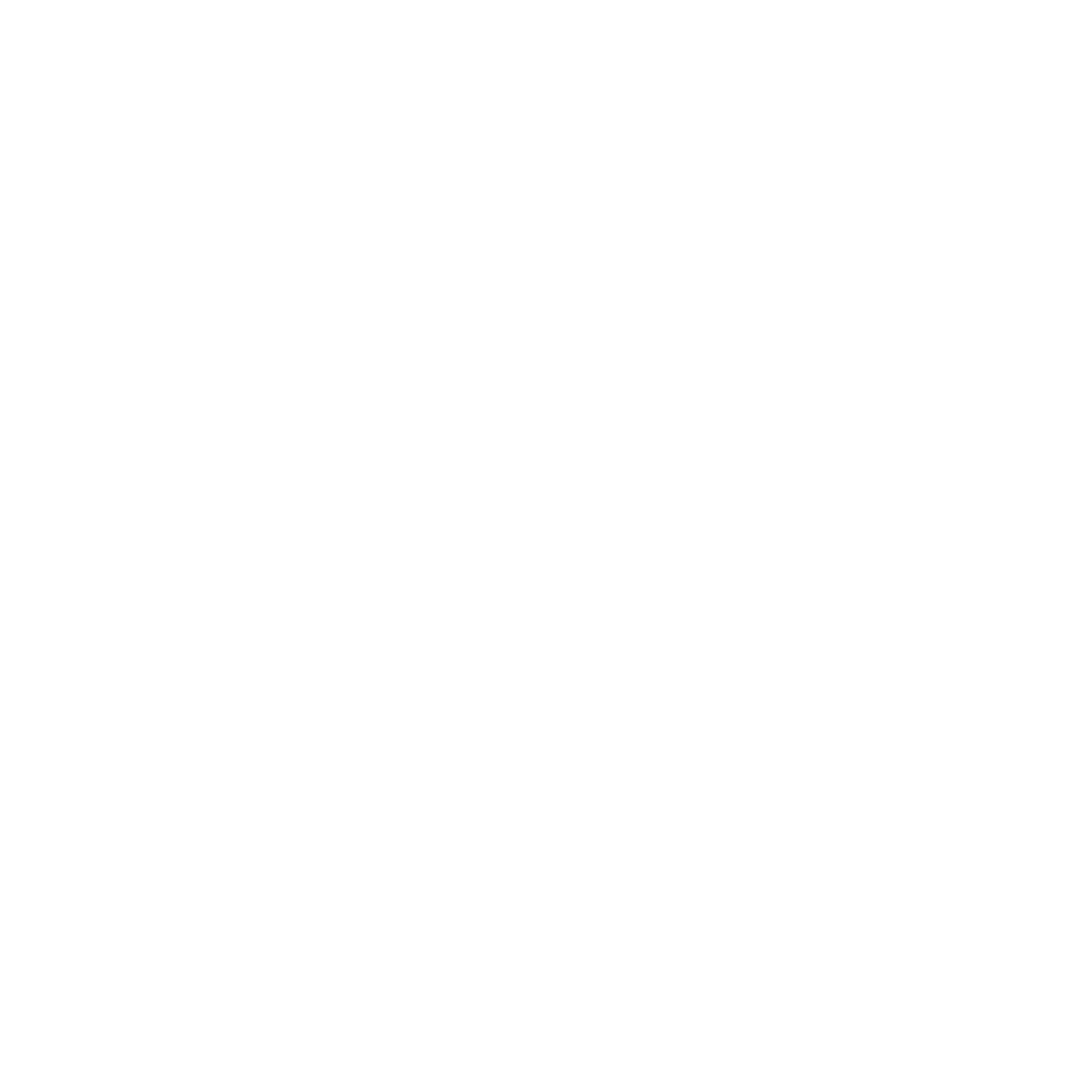 Premium Wedding E-Album